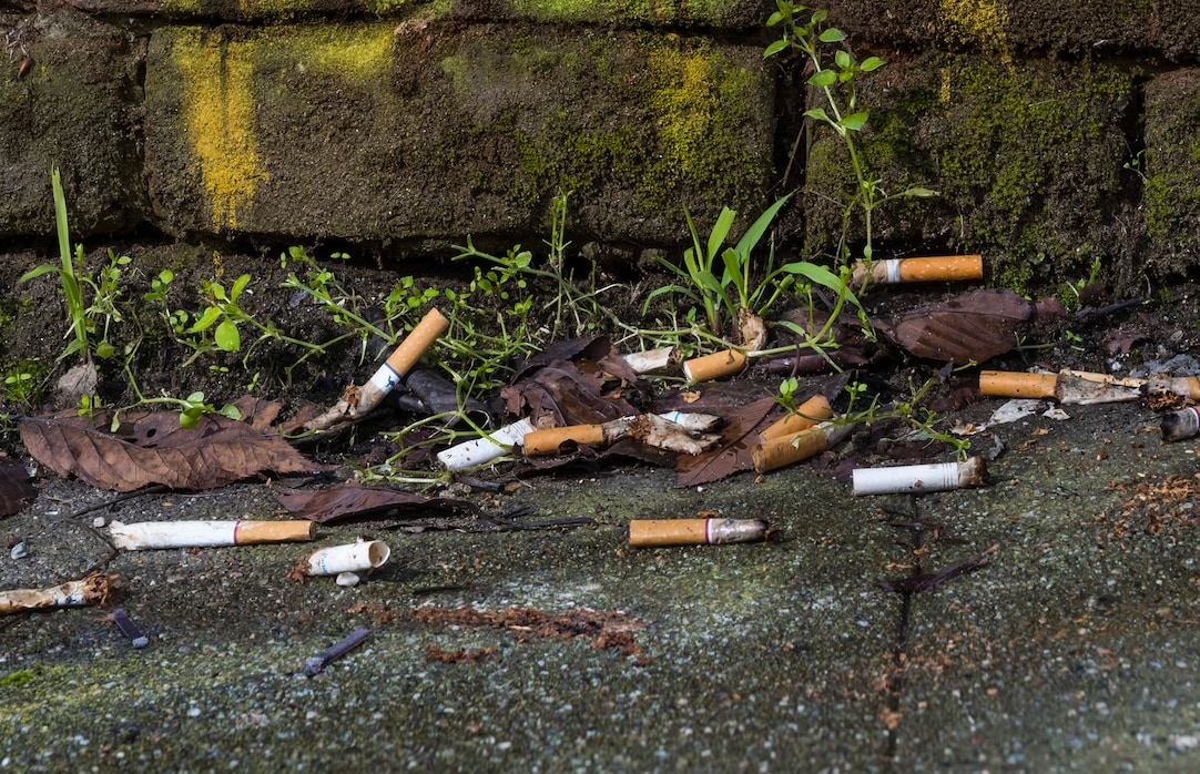 maldives cigarette price Maldives bans youth smoking 🚭 #Maldives #SmokingBan #HealthAwareness  #TobaccoFree #PublicHealth #GlobalNews
