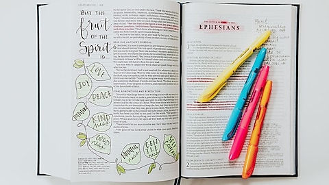 The Ave Catholic Notetaking Bible: A Bible to Make Your Own The Ave Catholic Notetaking Bible: A Bible to Make Your Own