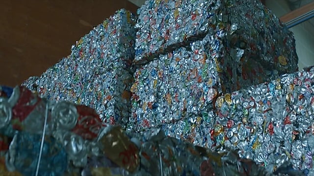 Rethinking Profit and Purpose: Why Sustainability Wins in the Long Run