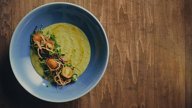 From idea to edible protein, see the project that made it real