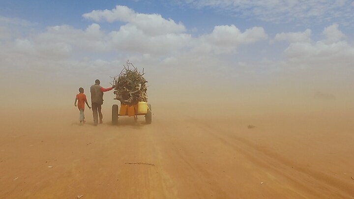 The home of artists and auteurs: Amazon’s documentary offerings stun