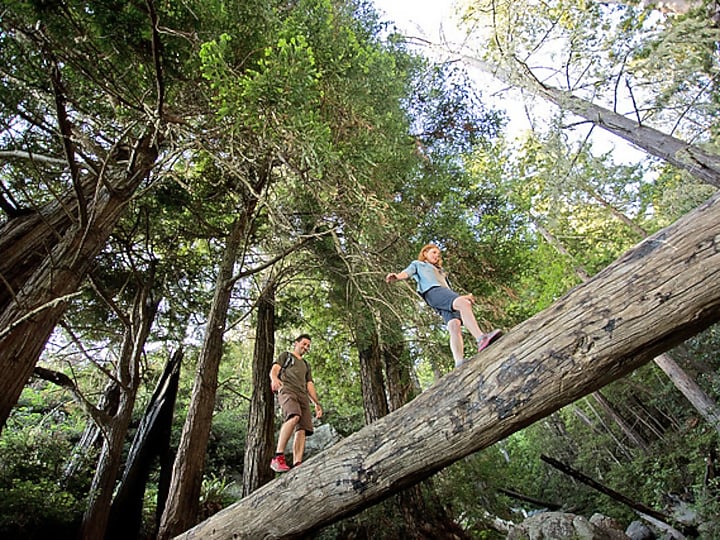 A road trip from Santa Barbara to Big Sur is packed with pull-over potential. Just check the map.