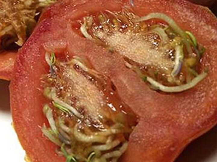 Cardiologist: “I Beg Everyone To Quit 3 Foods”
