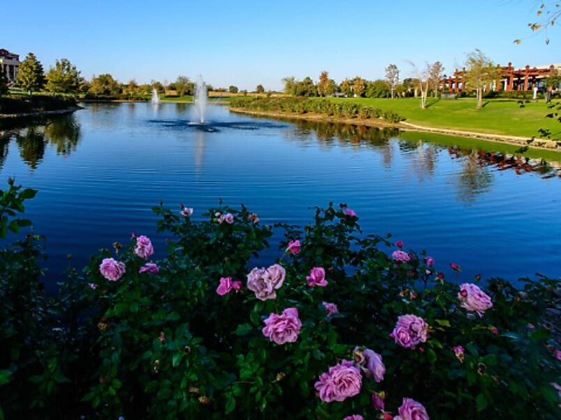 Here’s how Southlake businesses are fighting COVID-19