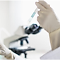 Opportunities in healthcare and biotech Opportunities in healthcare and biotech